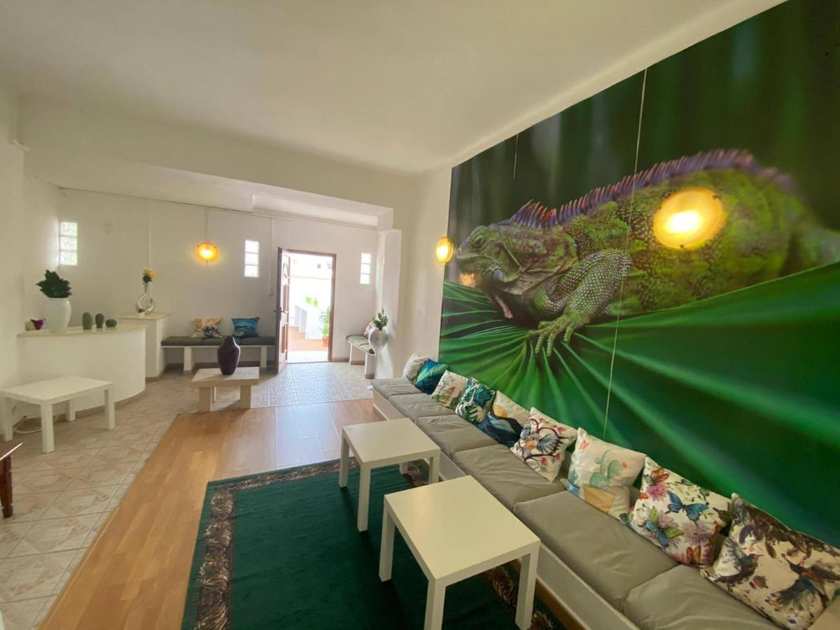 Iguana Guesthouse 라고스 외부 사진